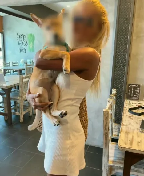 Svenja, 25